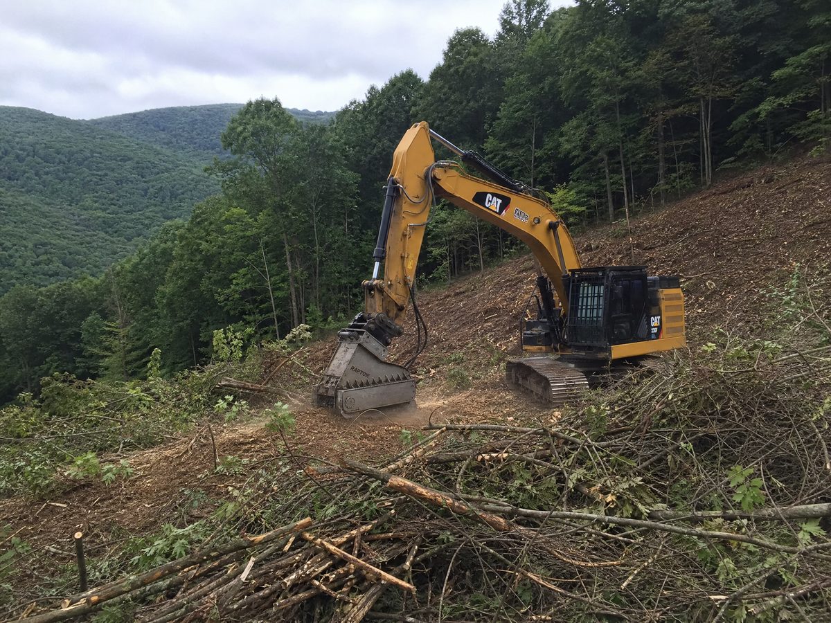 Hillside Site Clearing